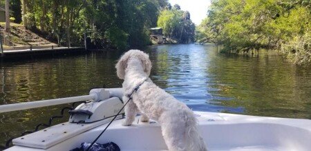 House 3 bedrooms, with pool