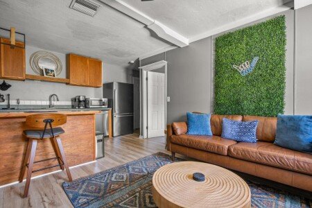Apartment 1 bedroom, with garden