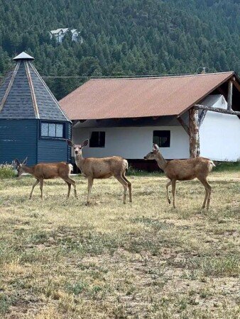 House 1 bedroom, with garden