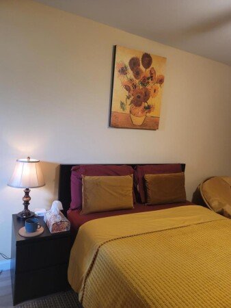 Apartamento 1 habitación, con jardín