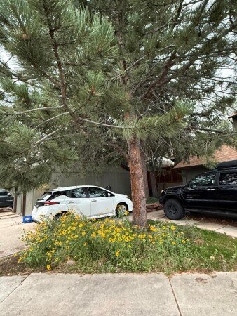 House 2 bedrooms, with garden