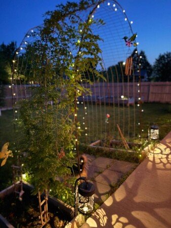 House 1 bedroom, with garden