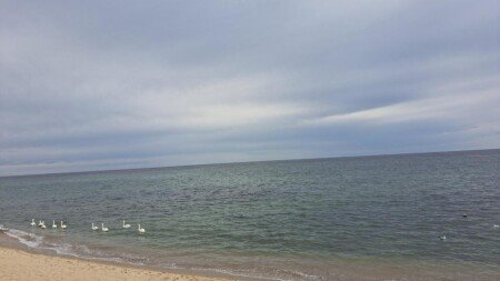 Bed and breakfast 3 guests, with garden