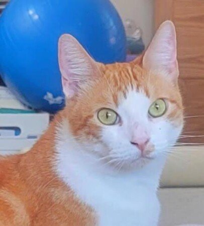 Bed and breakfast 1 bedroom, with air conditioning