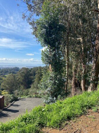 Apartment 1 bedroom, with wifi