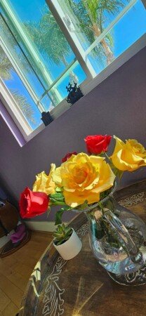 Bed and breakfast 1 bedroom, with air conditioning