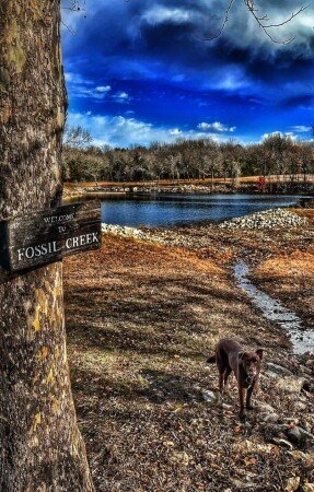 Bed and breakfast 1 bedroom, with jacuzzi