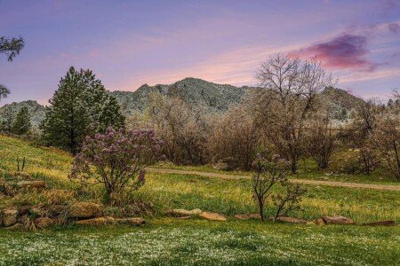 House 4 bedrooms, with jacuzzi