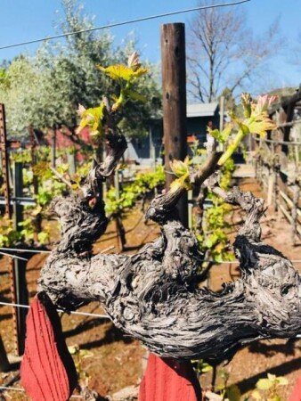 House 1 bedroom, with jacuzzi