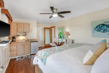 Bed and breakfast 2 guests, with jacuzzi