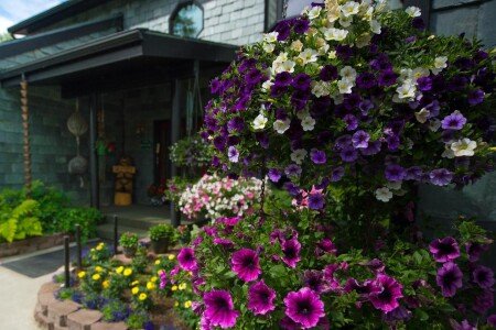 Bed and breakfast 3 guests, with garden