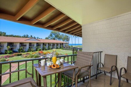 Apartment 1 bedroom, with pool