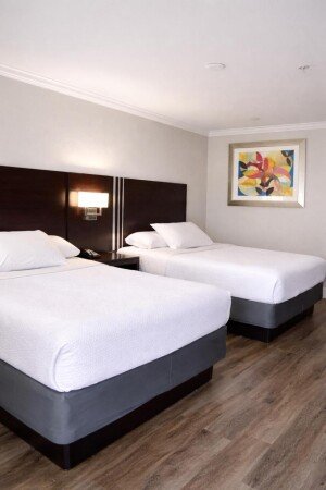 Hotel with jacuzzi