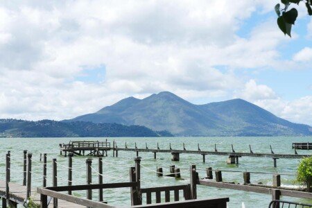 Apartment 1 bedroom, with garden