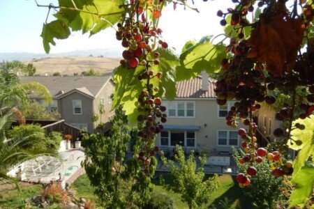 House 4 bedrooms, with jacuzzi