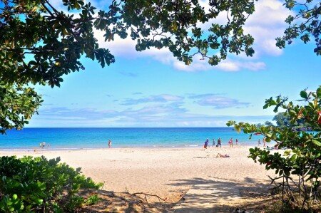 Maison de campagne 1 chambre, avec jardin