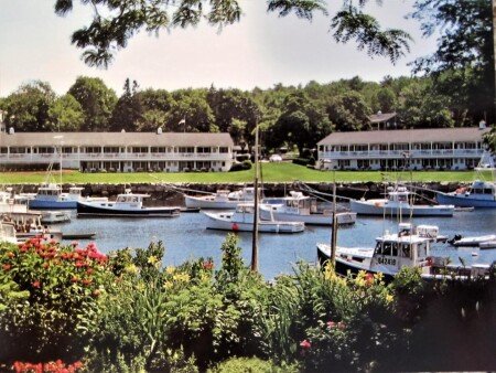 Hotel with garden