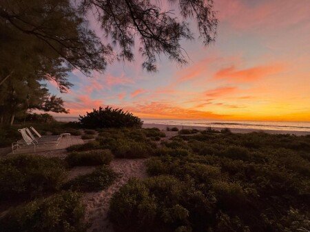 Aparthotel 4 guests, with garden