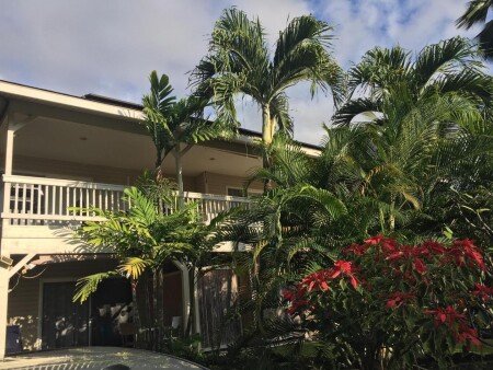 Apartment 1 bedroom, with garden