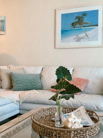 Apartment 2 bedrooms, with jacuzzi