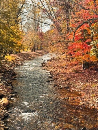 Hotel with air conditioning