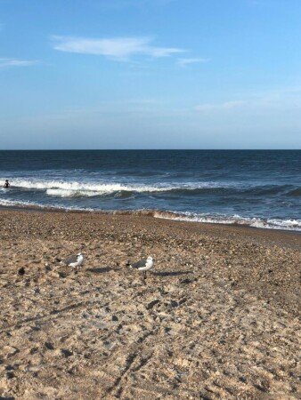Apartment 1 bedroom, with jacuzzi