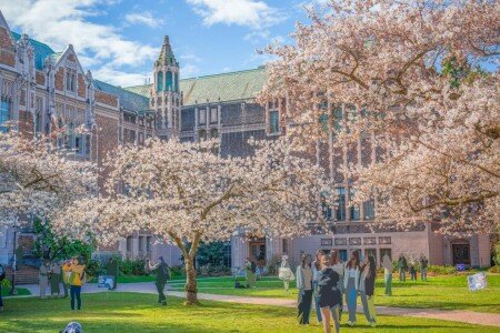 Casa 5 habitaciones, con jardín