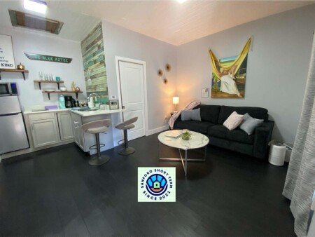 Apartment 1 bedroom, with garden