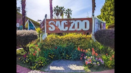 House 3 bedrooms, with garden