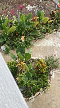 Apartment 1 bedroom, with garden