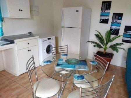 Appartement 1 chambre, avec jardin