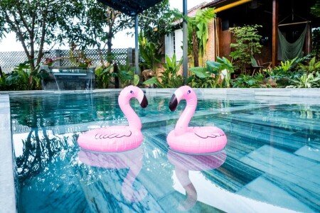 Bed and breakfast 7 guests, with pool