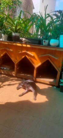 Bed and breakfast 3 guests, with garden