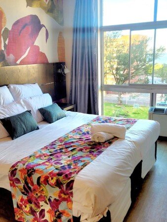 Apartment 1 bedroom, with jacuzzi