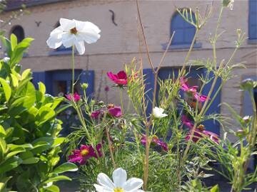 Chambre 1 voyageur, avec wifi