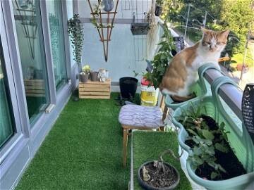 Chambre 1 voyageur, avec wifi