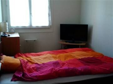 Apartment 1 bedroom, with wifi