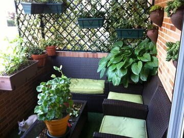 Accommodation 1 bedroom