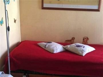 Chambre 1 voyageur, avec wifi