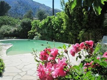 Chambre 4 voyageurs, avec petit-déjeuner