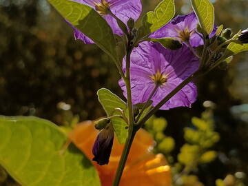 Chambre 10 voyageurs, avec wifi