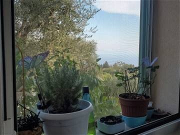 Camera 1 ospite, con wifi