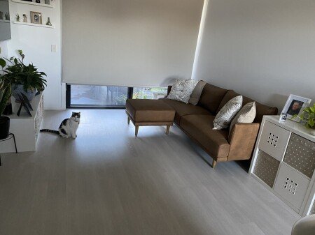 Room 1 guest, with wifi