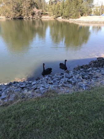 Apartment 1 bedroom, with garden