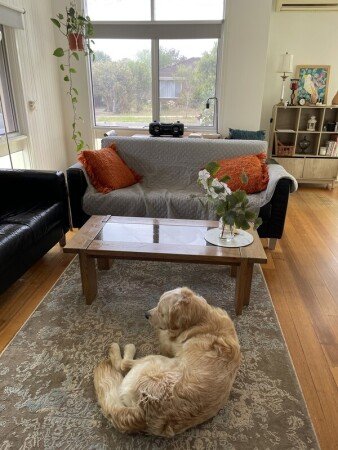 Room 1 guest, with garden