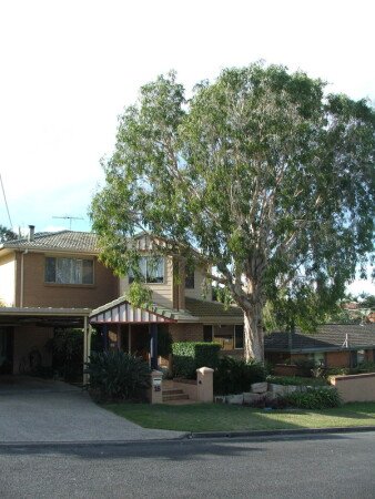 Accommodation 3 bedrooms, with garden