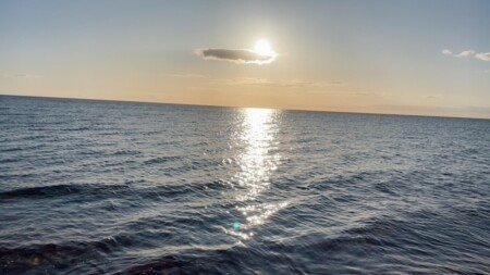 Room 1 guest, with garden