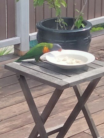 Room 1 guest, with garden