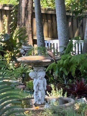 Room 2 guests, with garden