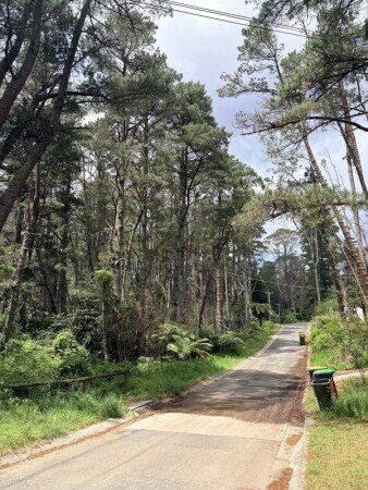 Room 1 guest, with garden